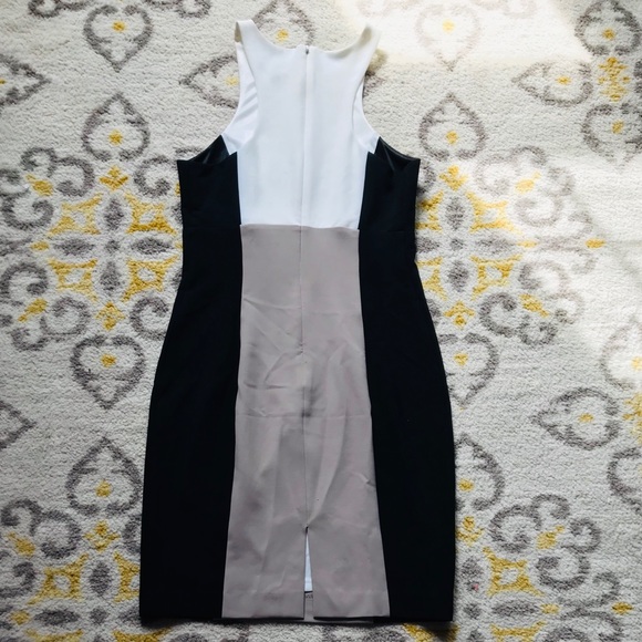 Express Dress - Picture 2 of 2